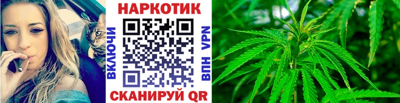 Где можно купить наркотики Кировград Cocaine Бошки Шишки Псилоцибиновые грибы Гашиш МЕФ