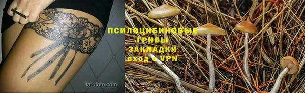 бошки Абдулино